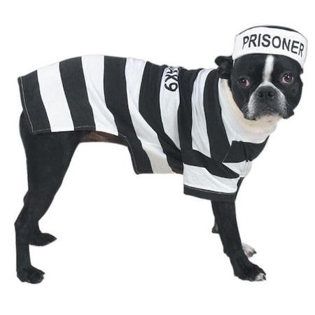 CASUAL CANINE Casual Canine ZW894 24 Prison Pooch Costume XL ZW894 24